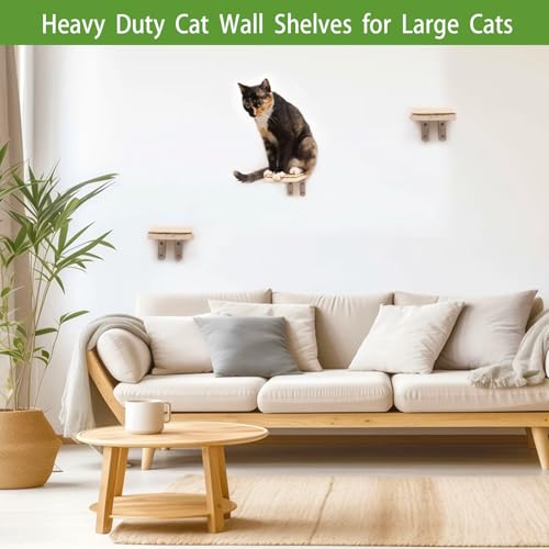 Pacote com 3 prateleiras de parede grandes para gatos, degraus de parede para gatos, prateleiras par