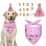 Rehaussez l'ambiance de la fête avec une touche haute couture : la palette de couleurs roses + les imprimés sur le thème de l'anniversaire, rehaussés de paillettes, amplifient instantanément l'atmosphère festive et l'attrait photographique pour le jour spécial de votre animal.