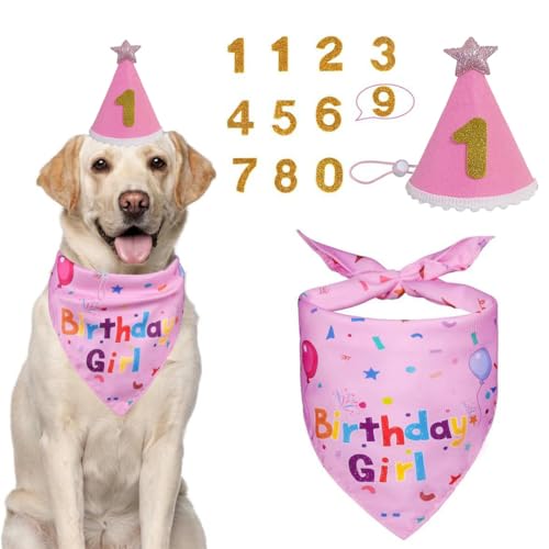 Set de cumpleaños para perros, gorro y pañuelo reutilizables con números, Decoración de Cumpleaños para Mascotas, accesorios para fiestas de cumpleaños de perros medianos y grandes, rosa