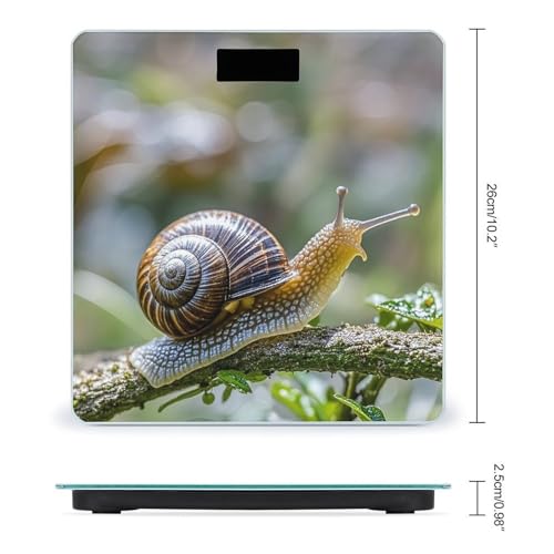 Báscula digital de baño con vidrio templado y pantalla LCD miniatura 2