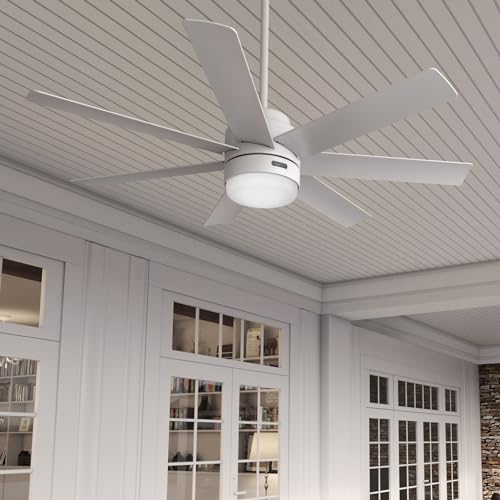 Image of Hunter Brazos Outdoor with LED Light 52 inch Fresh White - Fresh White