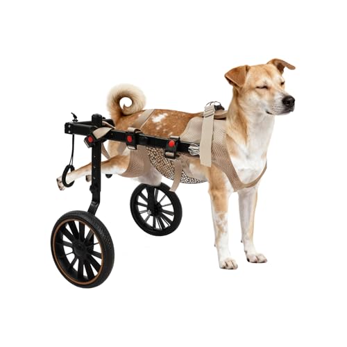 Harnais De Levage Chien Arrière Aide Marche Animaux Handicapés 65Kg, Chariot Rééducation Pattes Arrière Aluminium, Réglable 81-94Cm Fauteuils Roulants Deux Roues Pour Chiens Pattes Arrière