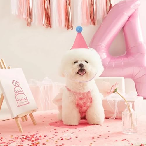 Yootiko Mini Partyhüte in sanften Farben, Geburtstagsmützen für Hunde, Katzen, Kaninchen und Stofftiere, Niedliche Tierparty Dekoration, Pastellfarbense (Mehrfarbig-6)
