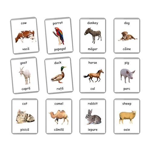Romanian English Bilingual Flash Cards | Laminated Flash Cards | Montessori Cards | Choose Your Set (Farm Animals) - Image 5