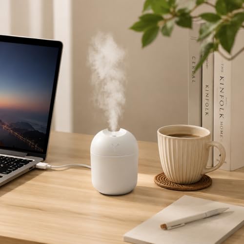8.45OZ USB Mini Humidifier