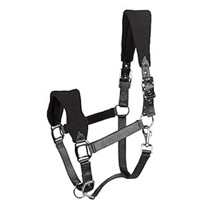 PFIFF Halster met fleece voering – zwart – pony