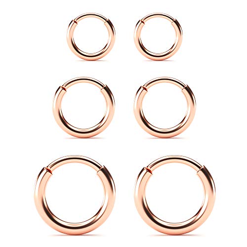 Surgical Stainless Steel Hoop Earrings - Endless Small Hoop Earrings Set for Men Women, Hypoallergenic Tragus Cartilage Sleeper Earrings(8/10/12mm)2