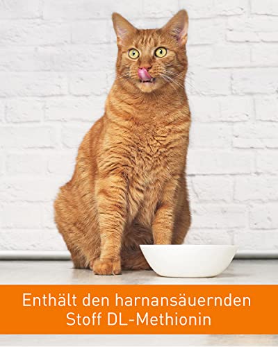 Uro-pet Vetoquinol Paste | 120 g | Ergänzungsfuttermittel für Hunde und Katzen | Zur Unterstützung der Gesundheit der Harnwege | Mit der Aminosäure DL-Methionin