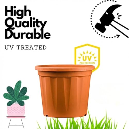 Image of 8 Inch Heavy Duty Plastic Planter | Grower Pot /Garden Pot for Home & Garden (Terracotta) (Pack of 12)