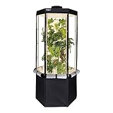 Aerospring Indoor Hydroponic Growing System 2.0 – Grow 27 Lettuce, Vegetable, Herb & Fruiting Plants | Includes Grow Tent, 150W LED Grow Lights, Fan & Wheels for Indoor Gardening