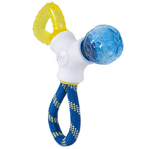 JW Puppy Connects - Image 3