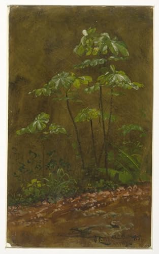Peinture Pour Décoration Salon Trumpet Tree Jamaïque, voyage artistique et poétique murale