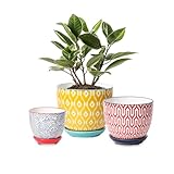 Selamica Ceramic Plant Pots, Indoor Flower Pots for Indoor Plants, 3.5+4.6+5.5 Planters with Drainage Hole & Saucer, Set of 3, Home Decor, Assorted Colors