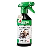 RepellShield Spray Ragni e Ragnatele con Menta Piperita, 500ml...