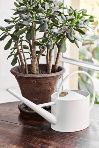 Arrosoir d'intérieur haut de gamme Burgon & Ball 1,7 l long bec crème au babeurre élégant
