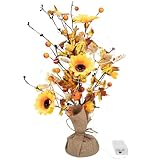 Invitation à convivialité : En illuminant subtilement vos soirées de saison, ce luminaire favorise des instants chaleureux et rassembleurs autour de Thanksgiving, créant un cadre propice aux moments partagés en famille ou entre proches