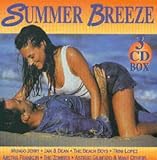 Sound Desi (Sound Design)