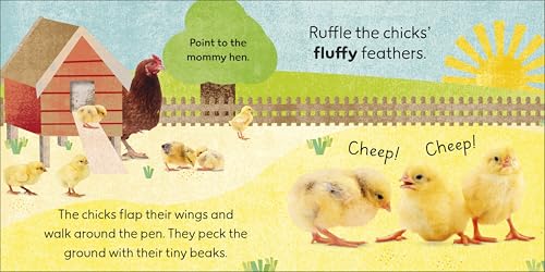 Touch and Feel Baby Animals: With Tactiles for Toddlers to Explore