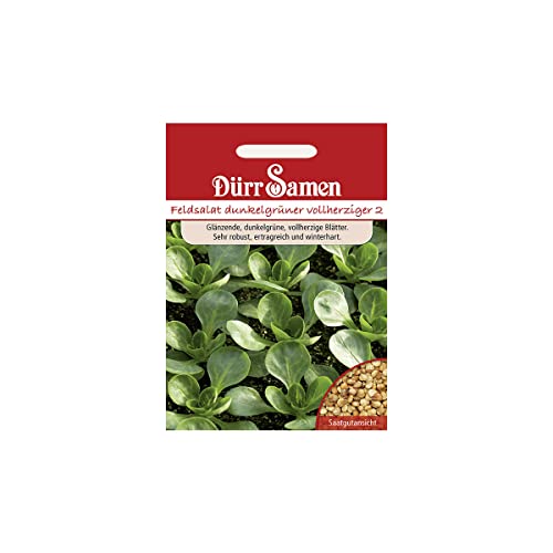 Feldsalat-Samen Dürr-Samen Dunkelgrüner Vollherzig