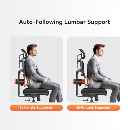 Image of Newtral Office Chair Ergonomic - Home Office Desk Chair, Big and Tall Office Chair, Auto-Following Lumbar Support for Back Pain, Adjustable Seat Depth and Height (No Footrest, Black)