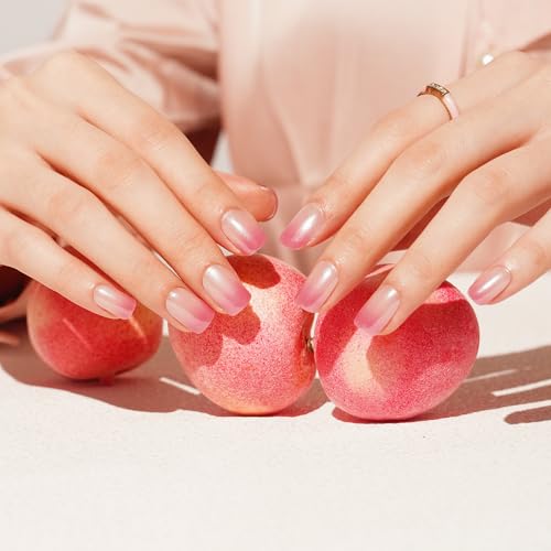 DANNI & TONI Semi Cured Gel Nail Strips Pink Transparent Ombre Pearlescent Gel Nail Wraps 28 Stickers | Mauve Breath