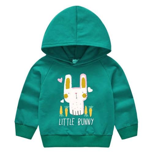 Kids Girls Cartoon Hooded Sweatshirts Long Sleeve Rabbit Print Athletic Casual Pullovers Boys Fall Cute Comfy Tops