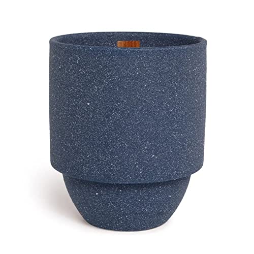 Paddywax National Parks Artisan Hand-Poured Scented Candle, 11-Ounce, Acadia-Seagrass + Driftwood #TOP19