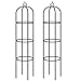 Deuba 2X Tuteur de Jardin 200 cm Colonne rosiers Support pour Plantes grimpantes Ø 40 cm Obélisque de Jardin