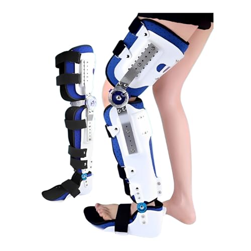 GT|[gu[X܂肽݃qWp㋸A[_[߉\Oyʃv~AŒیXvgtbOX^rCU[r֐ߌŒt(Left,Large)