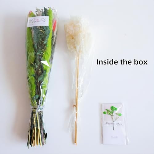 Ramo de Flores Secas Mixtas 17" Sin Jarrón miniatura 4
