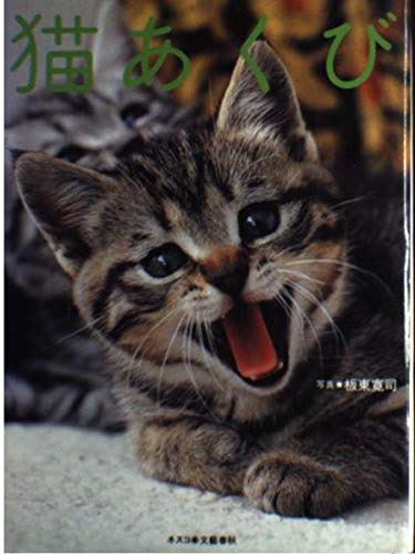 猫あくび | 板東 寛司 |本 | 通販 | Amazon