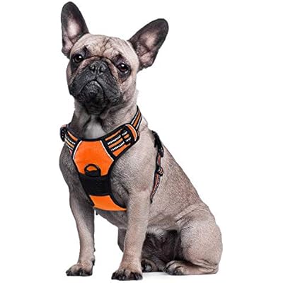 kong padded harness xl