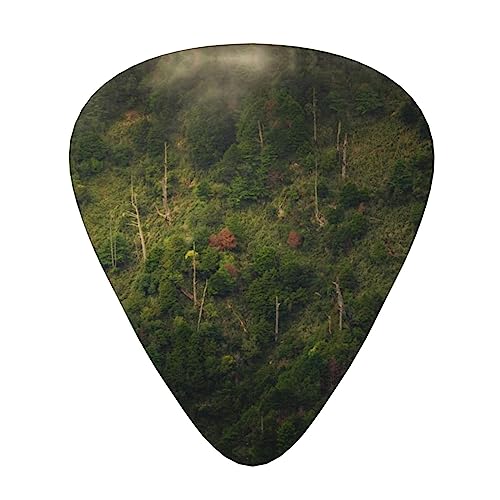 Green Trees And Mangroves On The Hill M^[sbN 12sbN t@bV p[\iCY x[X sbN v GLM^[ vNg yANZT[