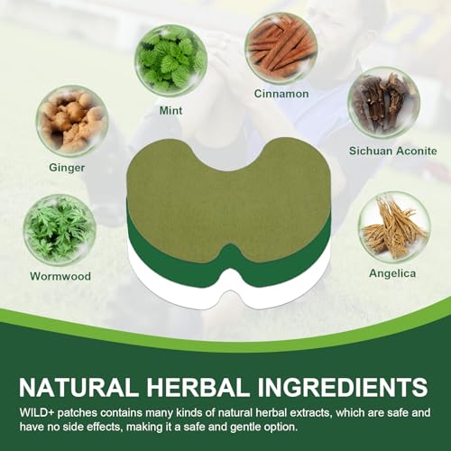 WILD+ Knee Pain Relief Patches, 40PCS Natural Knee Patch for Pain Relief, Wormwood Herbal Pain Relief Patches Heat Patches for Knee/Back/Neck/Shoulder/Joint Pain, Muscle Soreness - Image 2