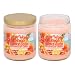 Smoke Odor Exterminator 13 oz Jar Candles Maui Wowie Mango, (2)