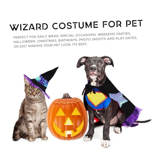 Disfraz de brujo para perros talla L morado miniatura 7