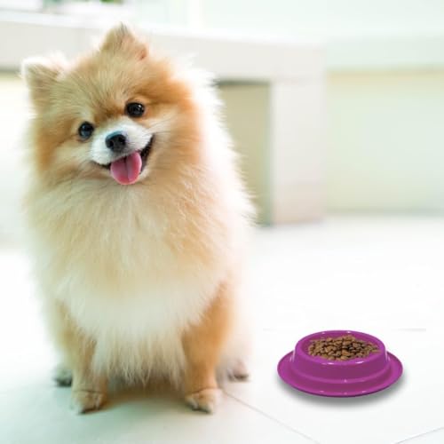 Kit 2 Comedouro Bebedouro Anti-Formiga para Cachorro e Gato - Prático e Higiênico (ROXO, 600 ML)