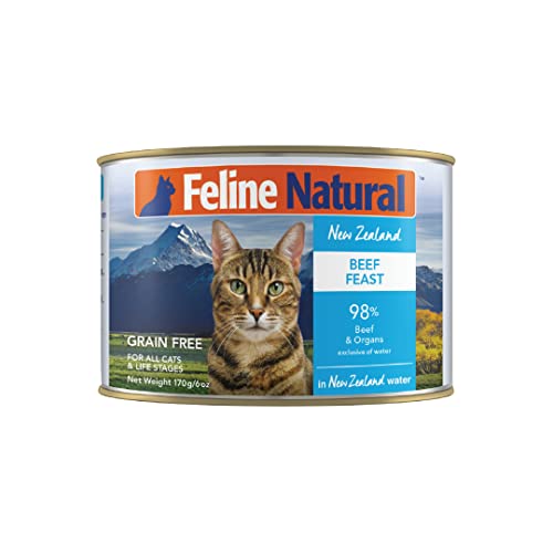 Feeding The Feline Fighter Best Cat Food Options For Cats With FIV