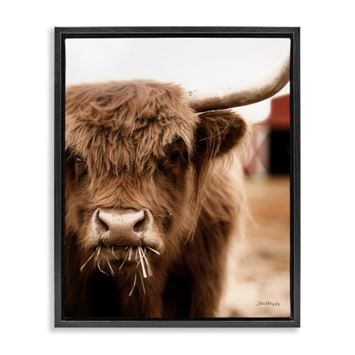 Grazing Cow Farmhouse Portrait, 17 x 21 Inch Canvas in Floater Frame