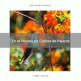  Aves del Busque para Controlar Ansiedad