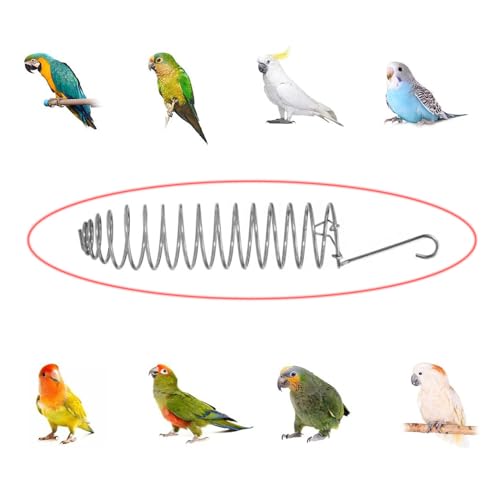 NentMent 2 Pack Millet Spray Holder Parrot Spray Millet Treat Holder Parakeet Treat Sticks Feeder for Natural Bird Millet Treats Crunch Sticks Bars Bird Chew Toys Carrot Cuttlebone Calcium Block - Thumbnail 4