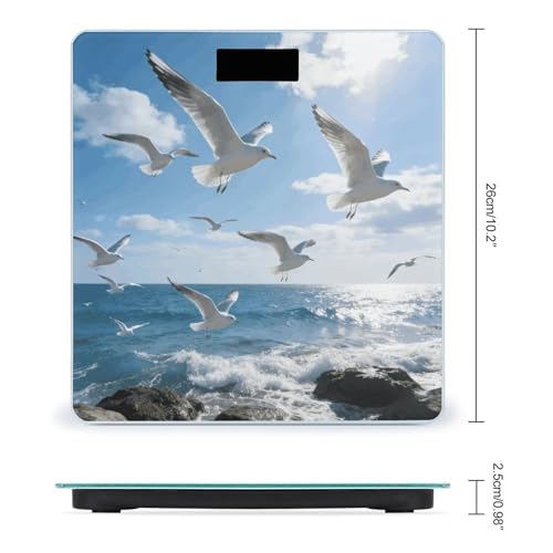 Báscula digital de baño con vidrio templado y pantalla LCD miniatura 2