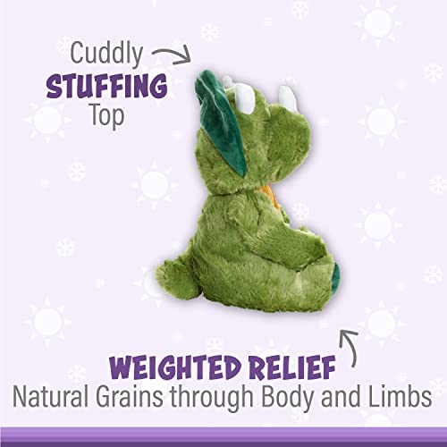 Warm Pals Microwavable Lavender Scented Plush Toy Stuffed Animal - Dino Dinosaur #TOP3
