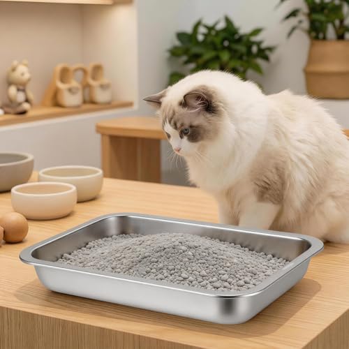 Arenero de acero inoxidable para gatos, diseño abierto y acceso bajo miniatura 2