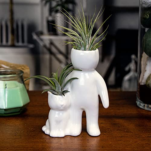 Person with Cat Ceramic Air Plant Holder with Two Live Air Plants