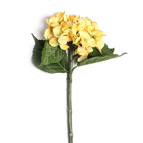 Image of Pure Home and Living Yellow Hydrangea Spray