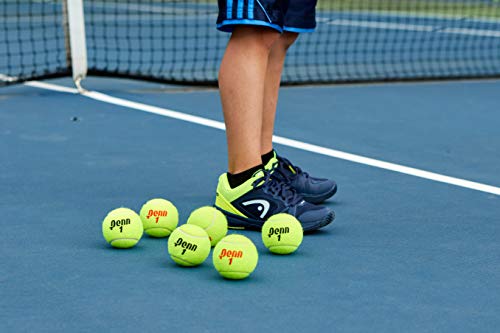 Penn 4420604 Championship Tennis Balls thumb #8