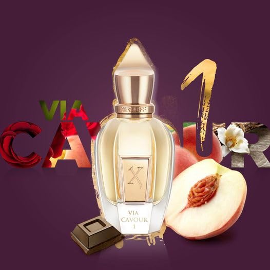 Miniatura 5 de Xerjoff Via Cavour 1 Parfum, 1.7 fl oz  1.7 fl oz  Perfume floral Gourmand (rosa, frambuesa, vainilla)