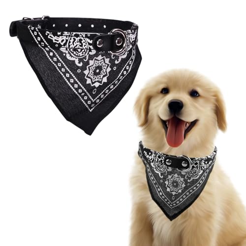 Western Era Stylish Dog Collar Scarf â Adjustable, Comfortable Pet Accessory for Puppy, Kitten, Trendy Bandana, Soft Fabric, Perfect, Special Occasions, Washable, Small Breed (Black)