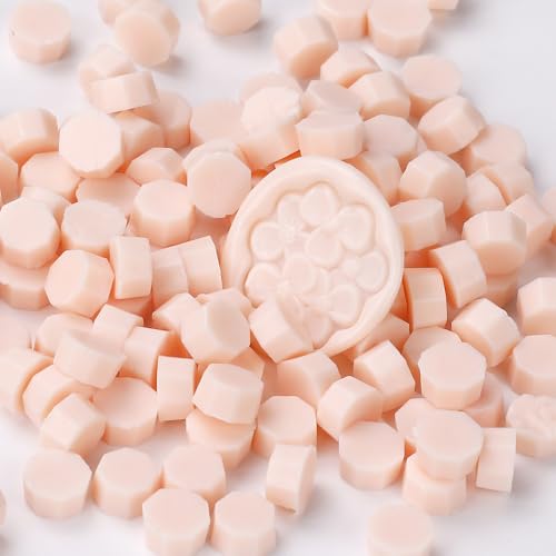 V[ObNX r[Y, kɐ/t[͗l, //^[RCY/CG[, XX^vp, 100, Ntgp (001-ĕyVz)